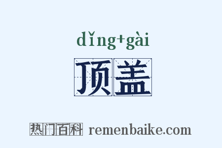 顶盖是什么意思的图片